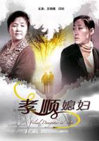 《孝顺媳妇》免费观看全集